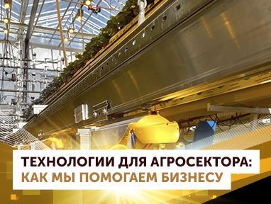 Технологии для агросектора: как мы помогаем бизнесу